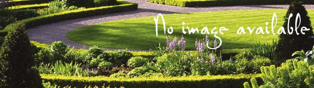 Picture of Rowen Village Gardens Open Day accommodation in Snowdonia.